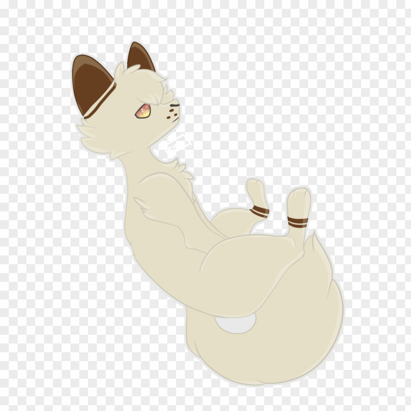 Cat Whiskers Dog Canidae Paw PNG