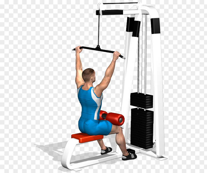 Dumbbell Shoulder Pulldown Exercise Latissimus Dorsi Muscle PNG