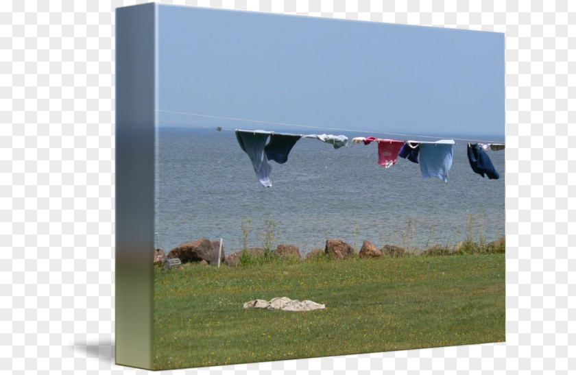 Clothesline Sky Plc PNG