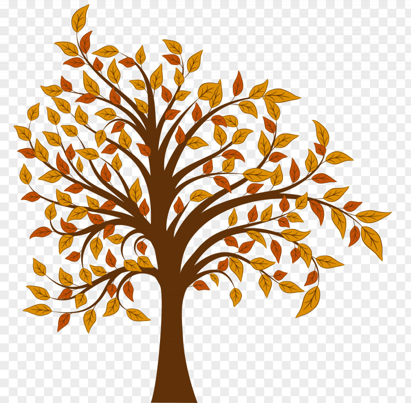 Fall Tree Clipart Image Autumn Clip Art PNG