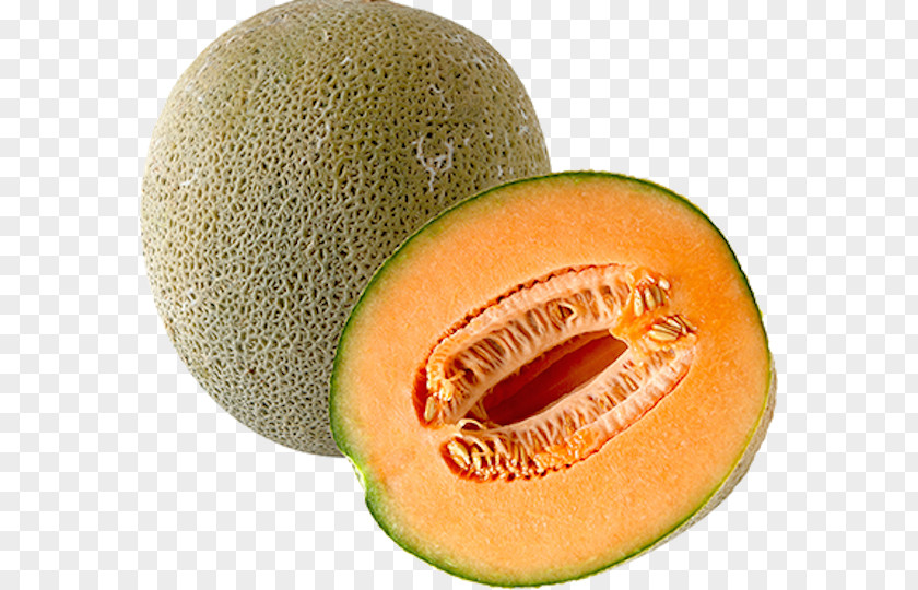 Melon Cantaloupe Honeydew Fruit PNG