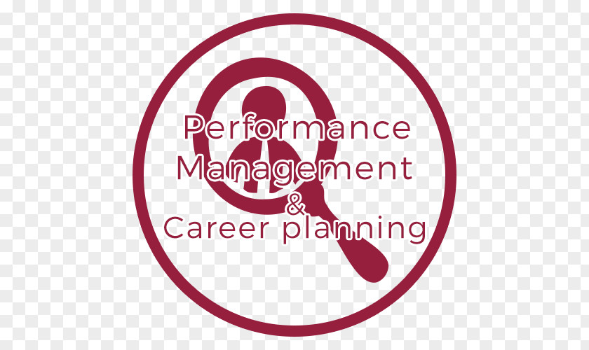 Talent Management Succession Planning Strategic PNG