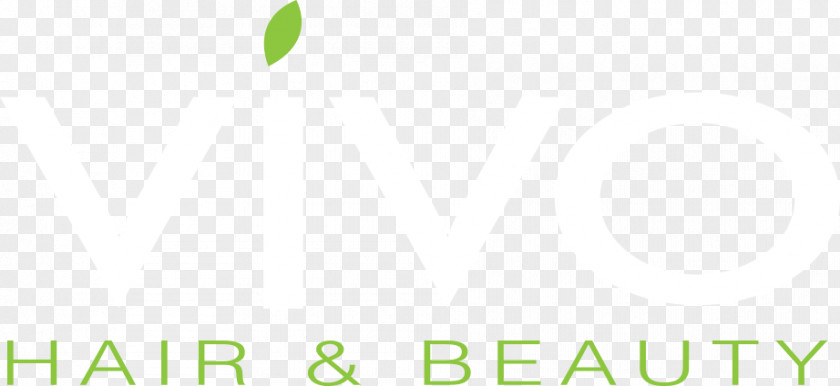 Beauty Hair Stylist Logo Brand Desktop Wallpaper PNG