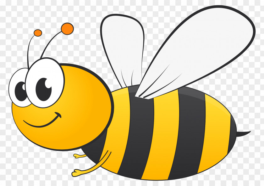 Bee Vector Scripps National Spelling Fort Zumwalt School District PNG