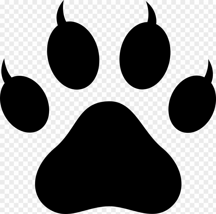 Blackandwhite Snout Dog And Cat PNG