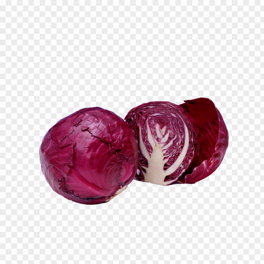 Cabbage Red Savoy Vegetable Brussels Sprout PNG