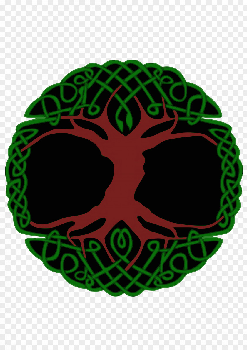 Celtic Tree Of Life Sacred Trees Celts Clip Art PNG