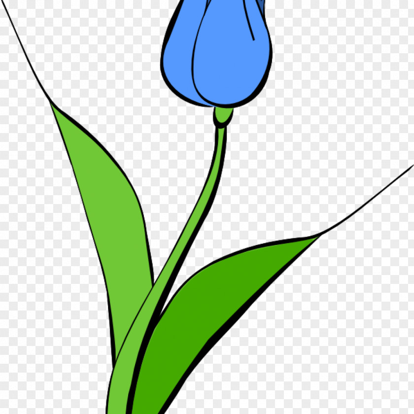 India Tulip Clip Art Free Content Image Desktop Wallpaper PNG