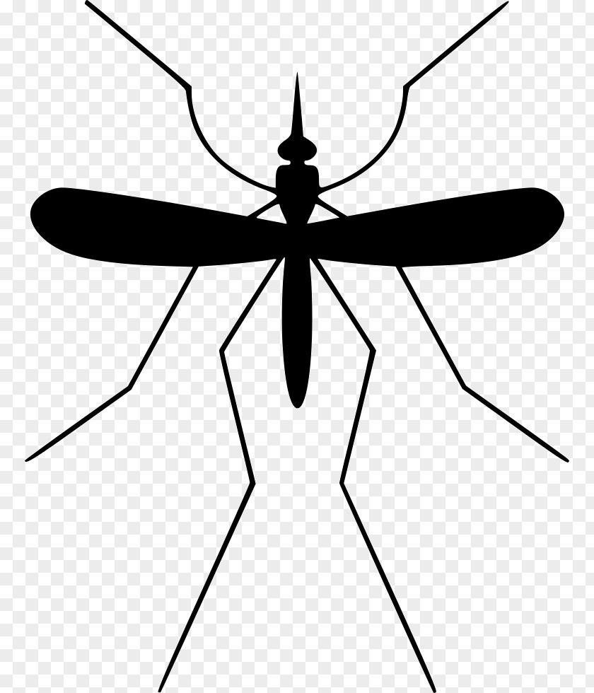 Mosquito Control Pest Insect PNG