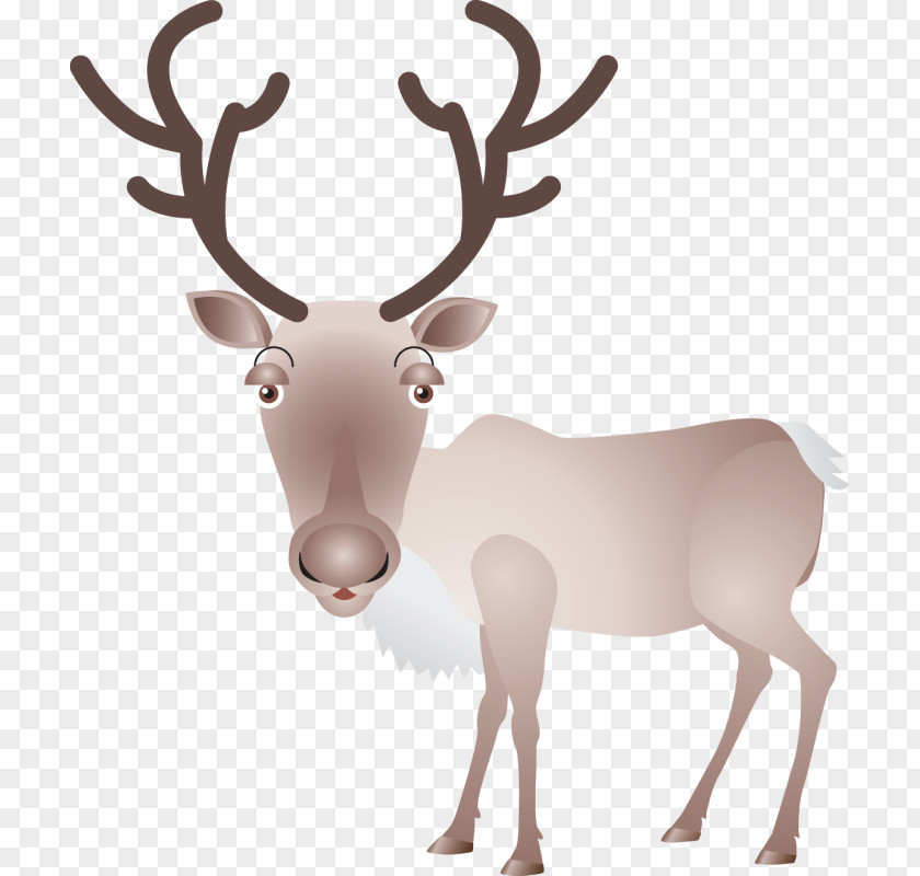 Reindeer Elk Moose Antler PNG