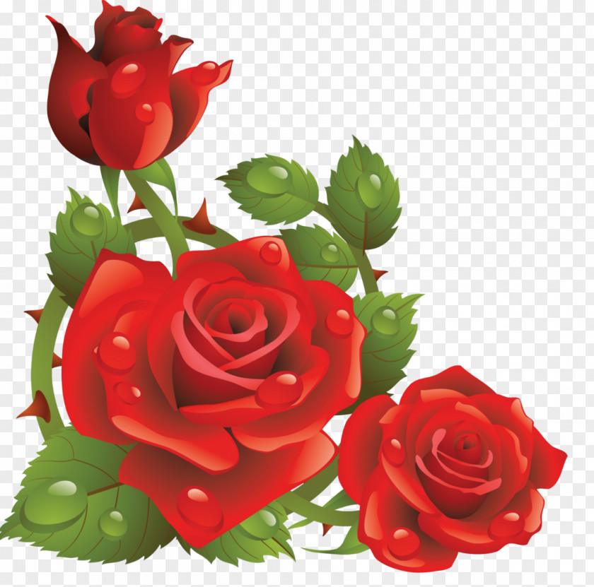 Rose Flower Red Clip Art PNG