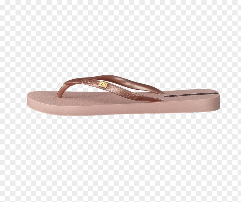 Sandal Flip-flops Shoe ECCO Mule PNG