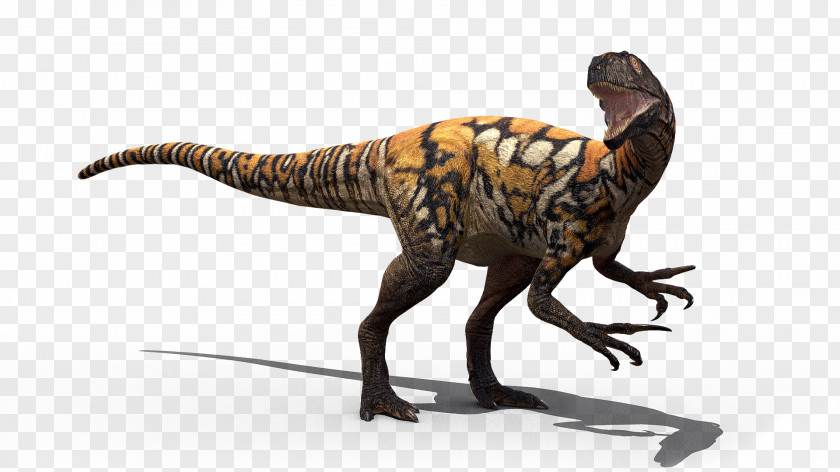 T Rex Tyrannosaurus Australovenator Velociraptor Australian Age Of Dinosaurs Muttaburrasaurus PNG