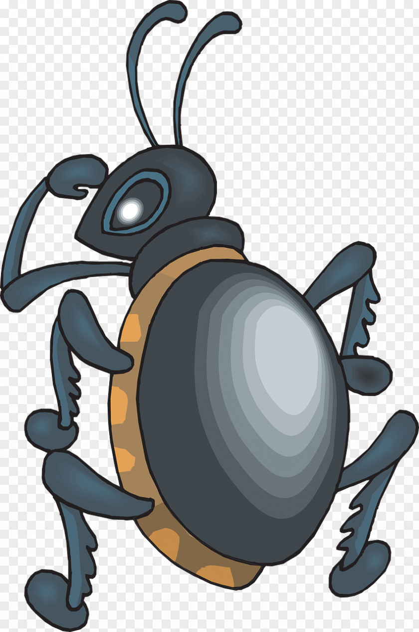 Black Ants Beetle Clip Art PNG