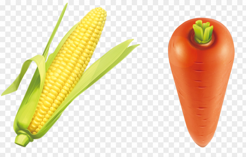 Carrots And Corn Vegetable PNG