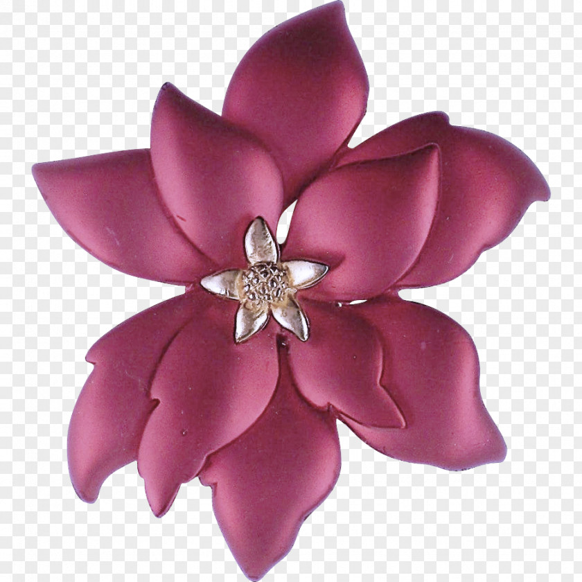 Cut Flowers Petal Flower Lilac / M PNG