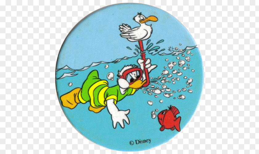Diver Duck Goose Cygnini Ducks Beak Cartoon PNG