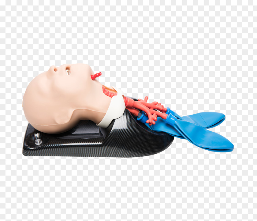 Tracheotomy Cricothyrotomy Airway Management Tracheal Intubation Advanced Trauma Life Support PNG