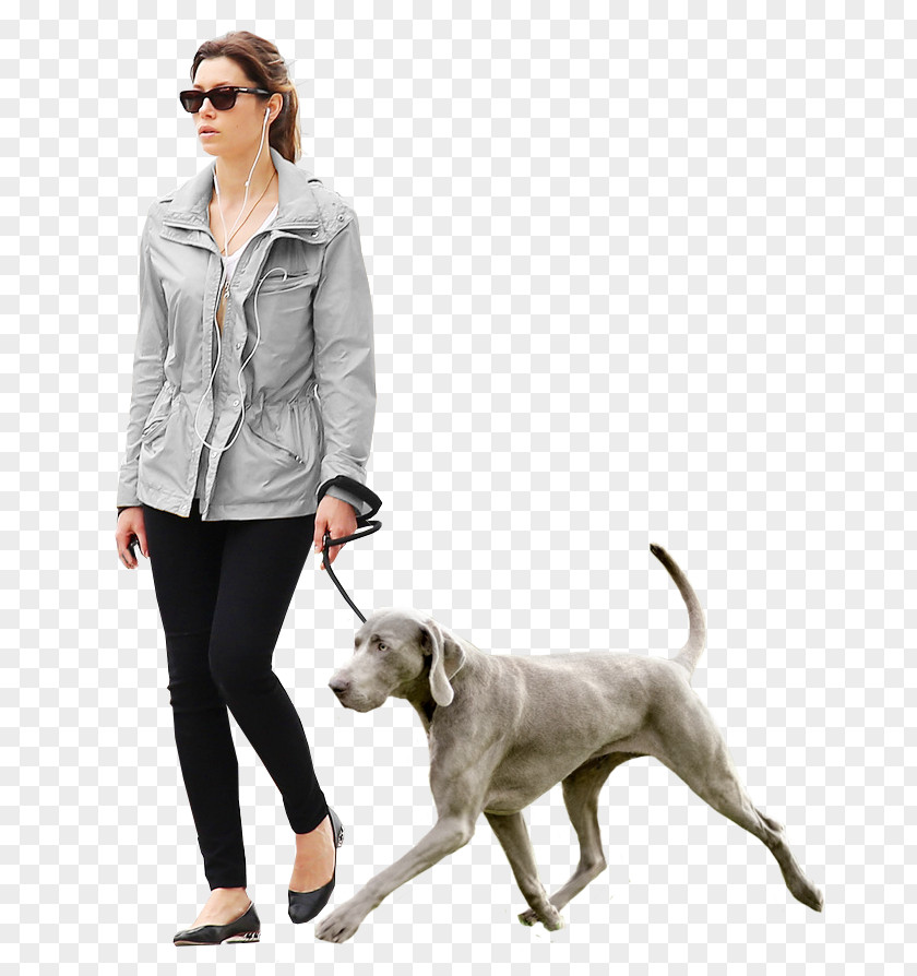 Walk Dog Architecture Architectural Rendering PNG