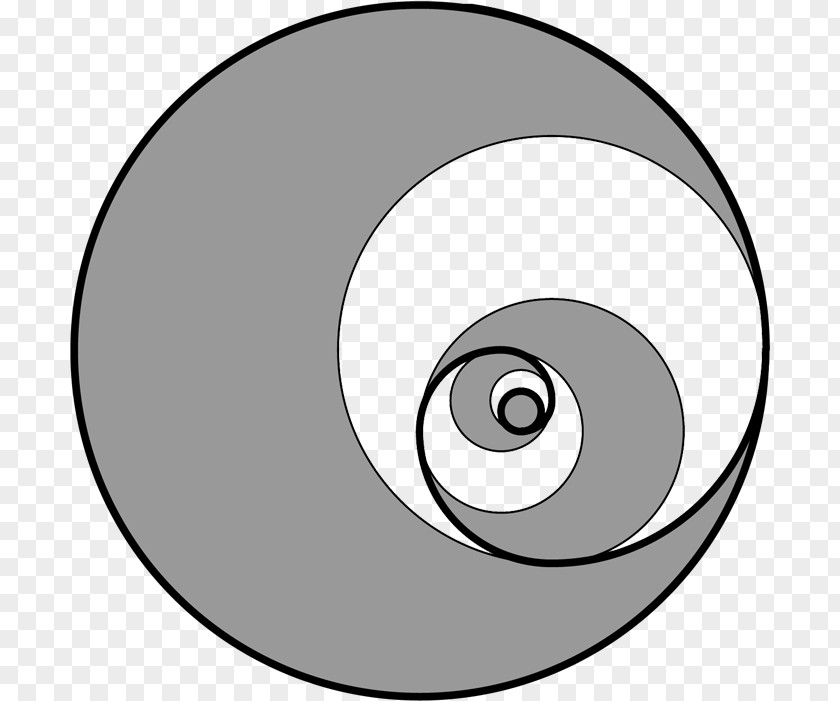 Circle Golden Spiral Fibonacci Number Ratio PNG