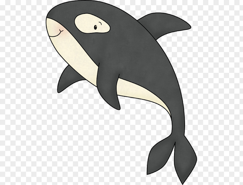 Dolphin Killer Whale Cetacea PNG