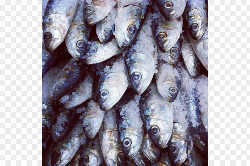 Fish Sardine Kipper Tinapa Products Oily PNG