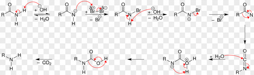 Hofmann Rearrangement Reaction Elimination Chemical PNG