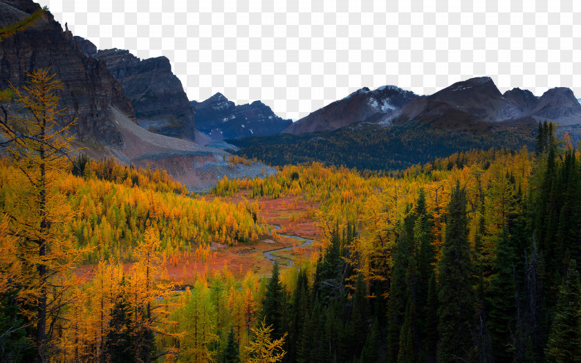 Mount Assiniboine Provincial Park, Three By Canada Landscape Autumn Display Resolution Wallpaper PNG