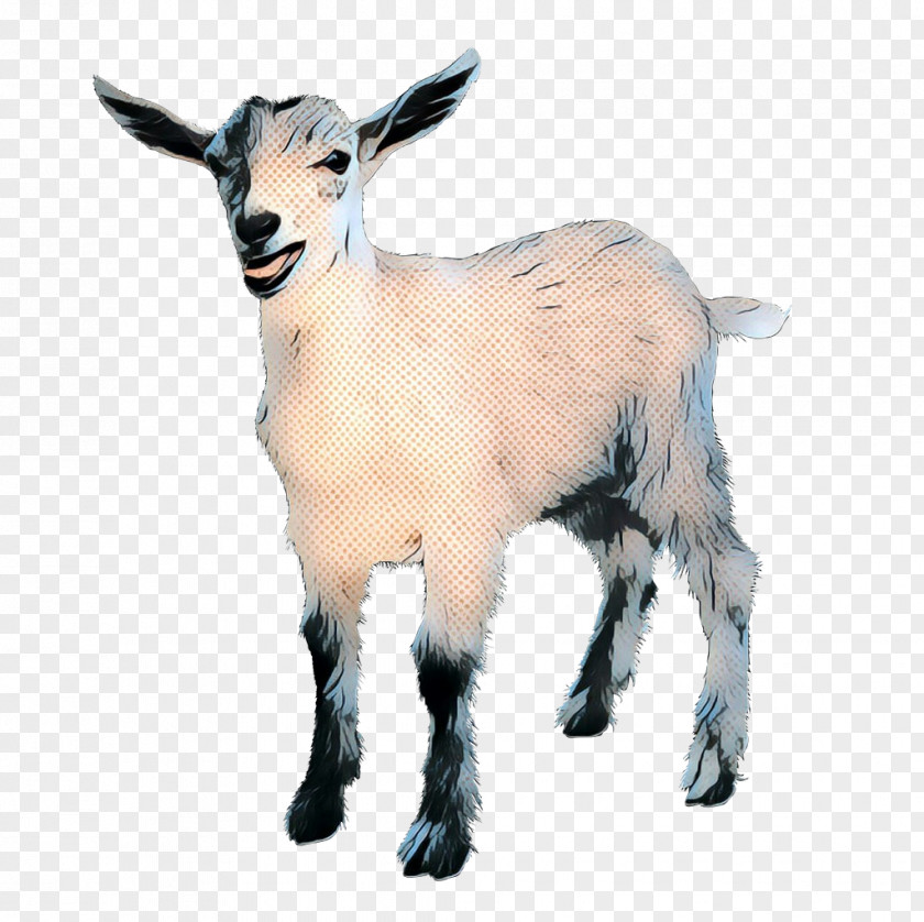 Mountain Goat Livestock Cartoon PNG