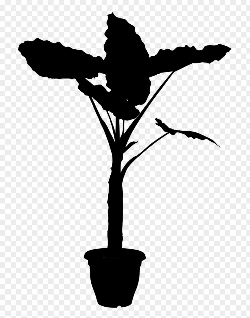 Plants Flowering Plant Stem Clip Art PNG