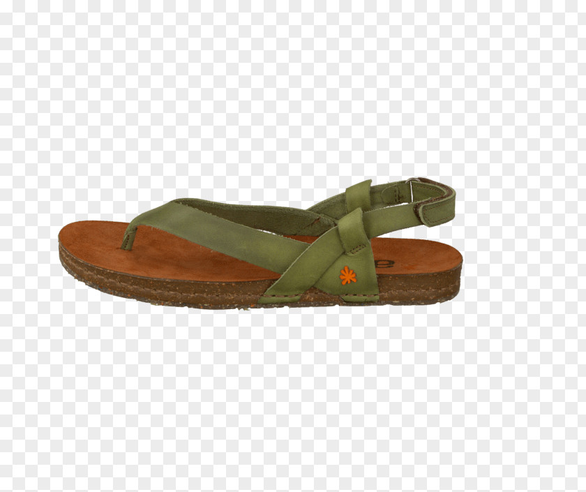 Sandal Slide Suede Shoe Walking PNG