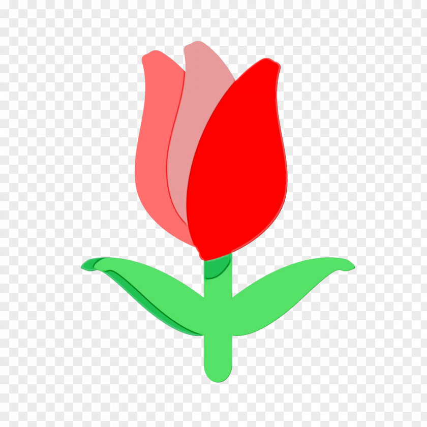 Symbol Pedicel Flower Art Watercolor PNG