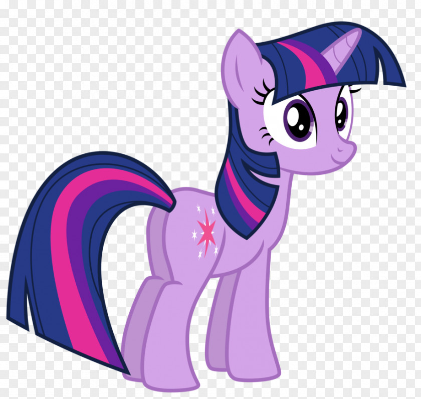 Twilight Sparkle Pinkie Pie Rarity Princess Celestia Pony PNG