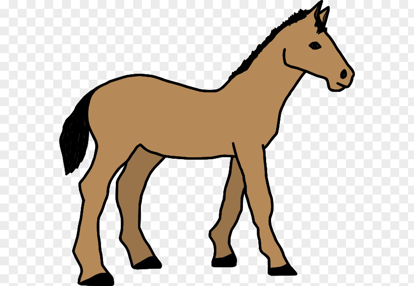 Cartoon Horse Pony Clip Art PNG