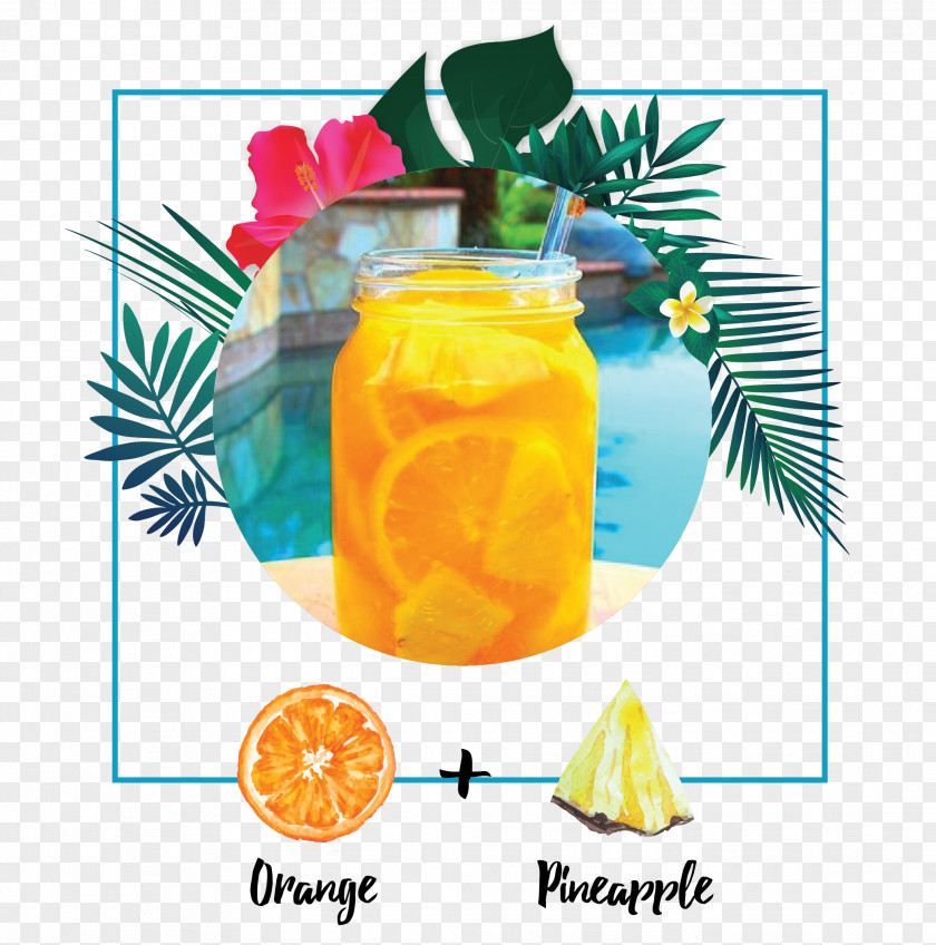 Cocktail Orange Drink Juice Garnish Mai Tai PNG