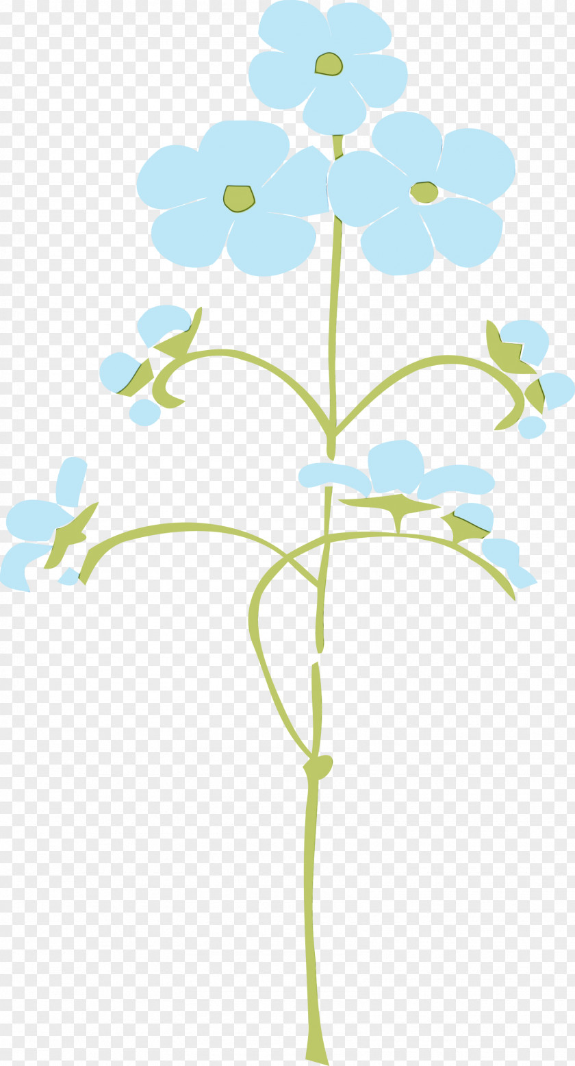 Floral Design PNG