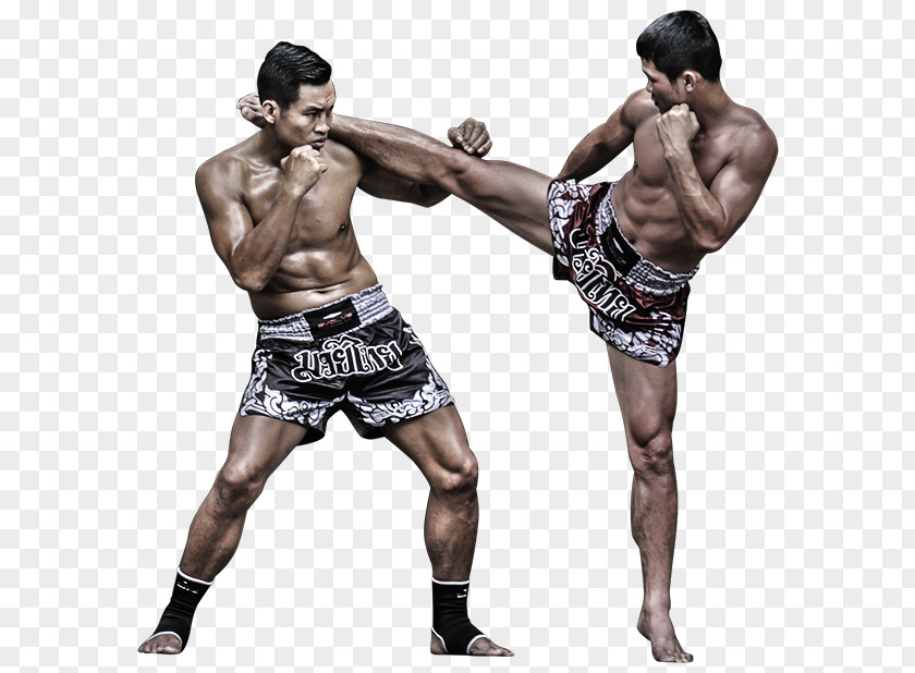 Mixed Martial Arts Muay Thai Brazilian Jiu-jitsu Kickboxing Jujutsu PNG