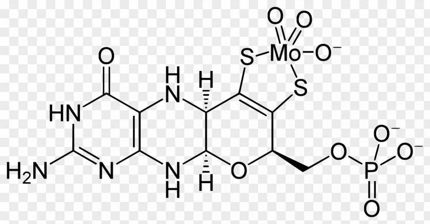 Oil Element Molybdenum Cofactor Molybdopterin Enzyme PNG