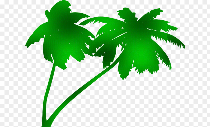 Palm Tree PNG