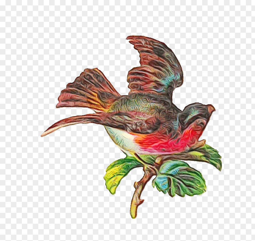 Pollinator Plant Hummingbird PNG