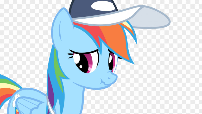 Rainbow Pony Dash Fluttershy Equestria PNG