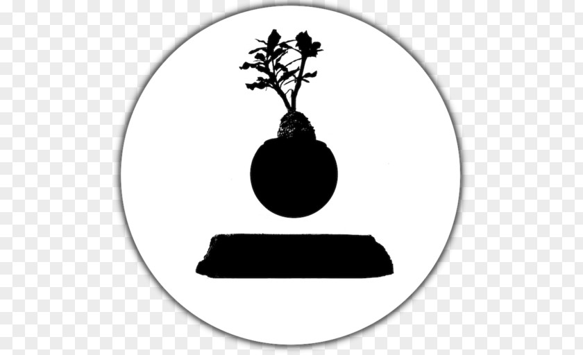 Vase Bonsai Houseplant Lauchäcker Tree PNG