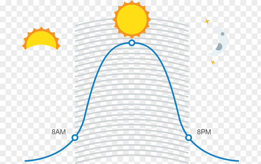 Curves Burning Calories Day Of The Dead Halloween Venn Diagram Culture PNG