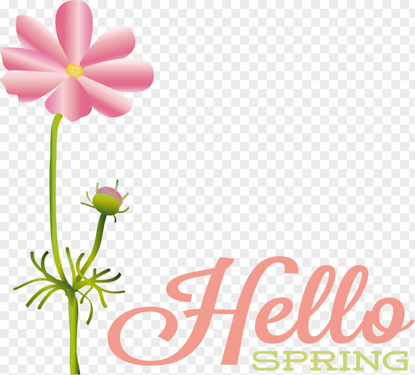 Floral Design PNG