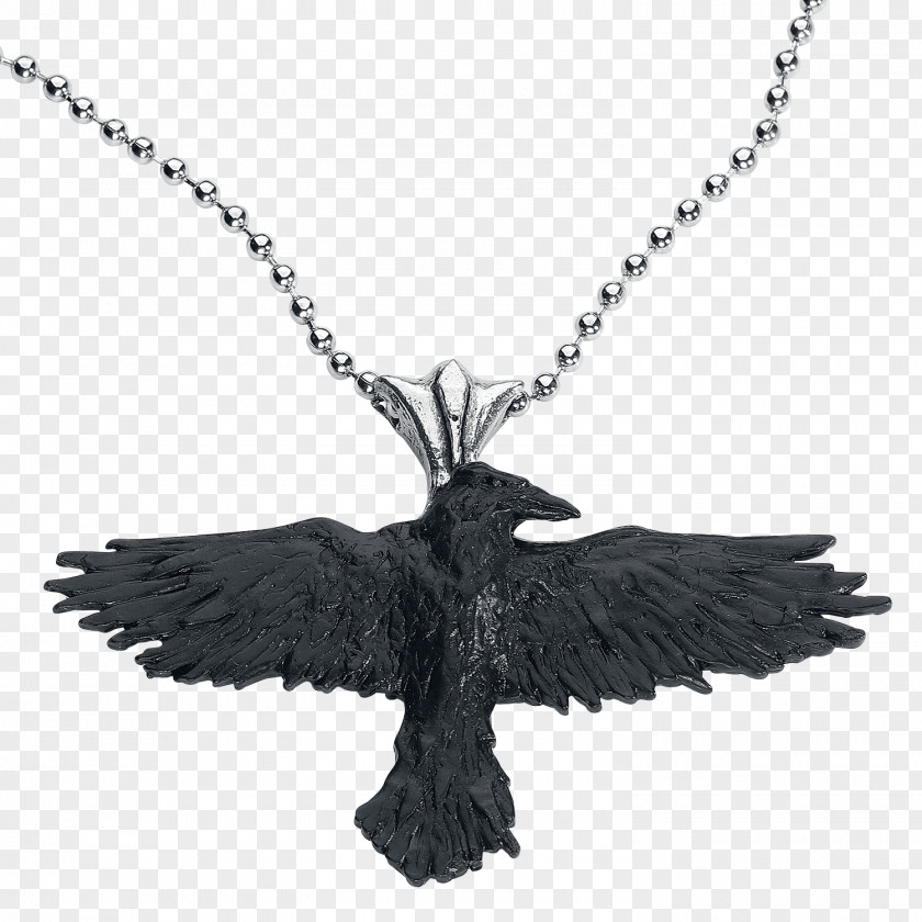 Necklace Charms & Pendants Earring Jewellery Alchemy Gothic Black Raven Pendant PNG