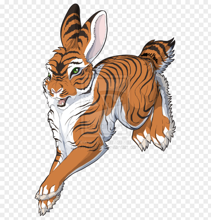 Tiger Whiskers Cat Clip Art PNG