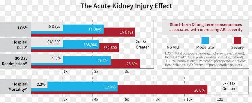Acute Kidney Failure Disease Chronic Mortality Rate PNG