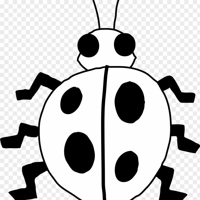 Beetle Ladybird Clip Art PNG