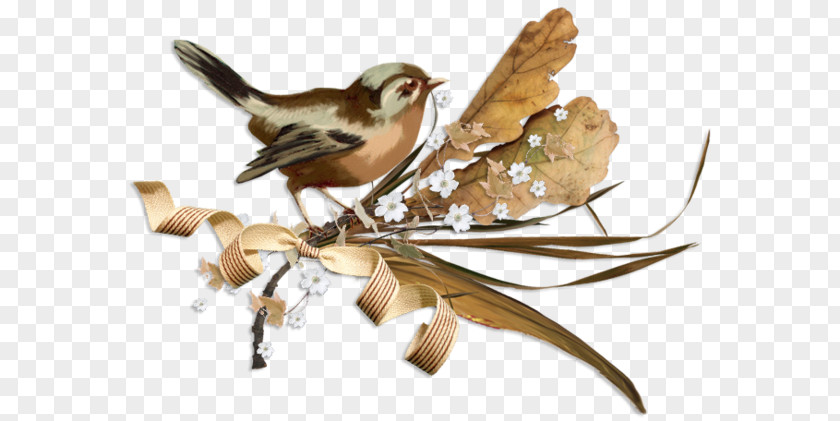 Bird House Sparrow PNG