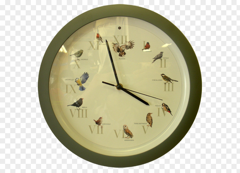 Clock Cuckoo Watch Alarm Clocks Hour PNG